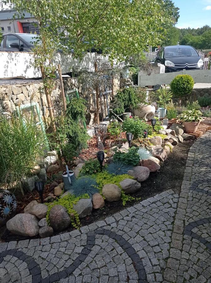 Pokoje Goscinne Cisowa Zielona Góra Exterior foto