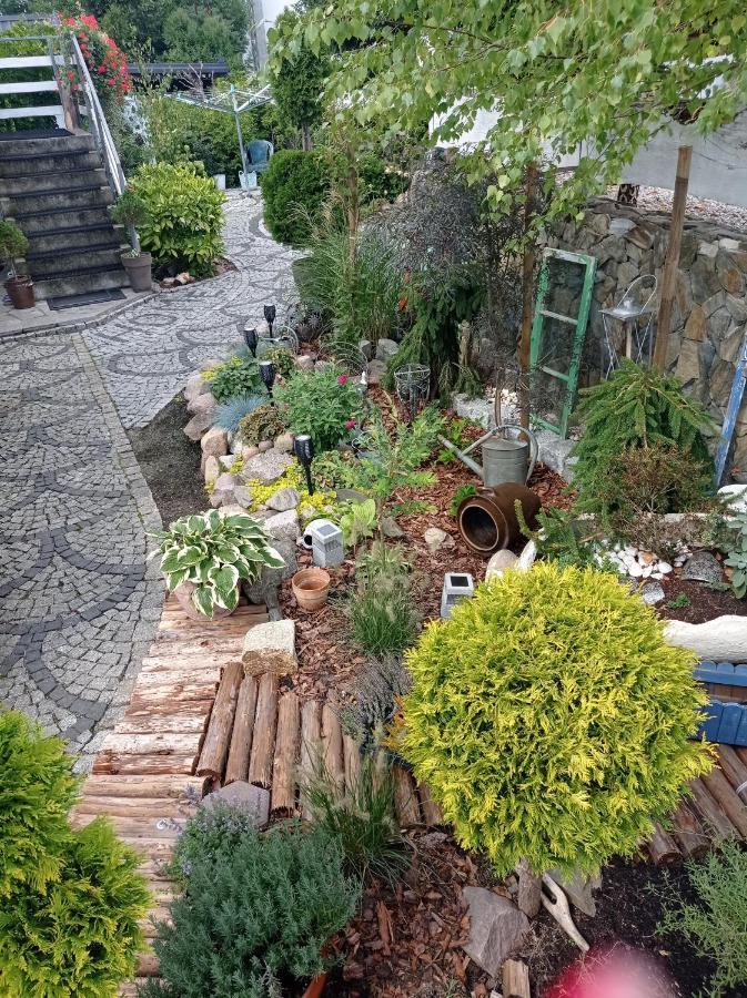 Pokoje Goscinne Cisowa Zielona Góra Exterior foto