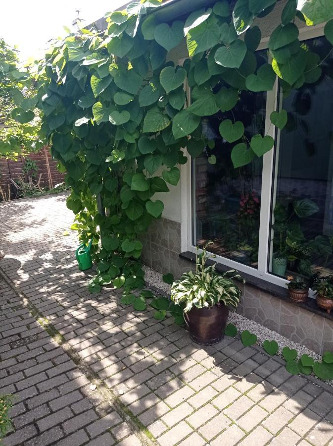 Pokoje Goscinne Cisowa Zielona Góra Exterior foto